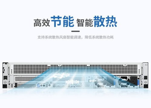 浪潮CS5260H2服務器 搭載海光5380處理器，高性能存儲配置，網絡技術服務方案解析